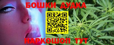 индика Пушкино