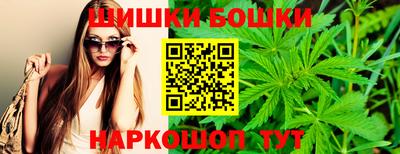индика Пушкино