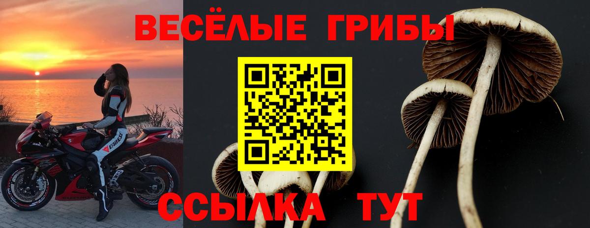 Псилоцибиновые грибы прущие грибы  Псилоцибиновые грибы MAGIC MUSHROOMS  Вход с VPN  Северск 