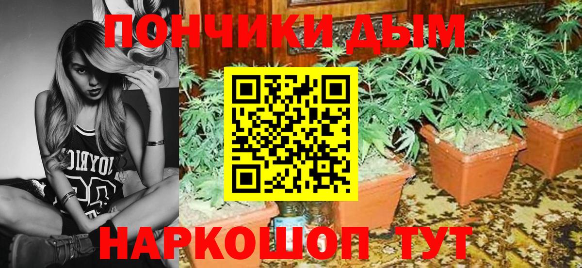 Каннабис Ganja Северск